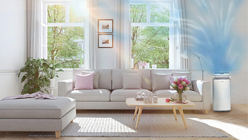 7 способов сделать воздух дома чище